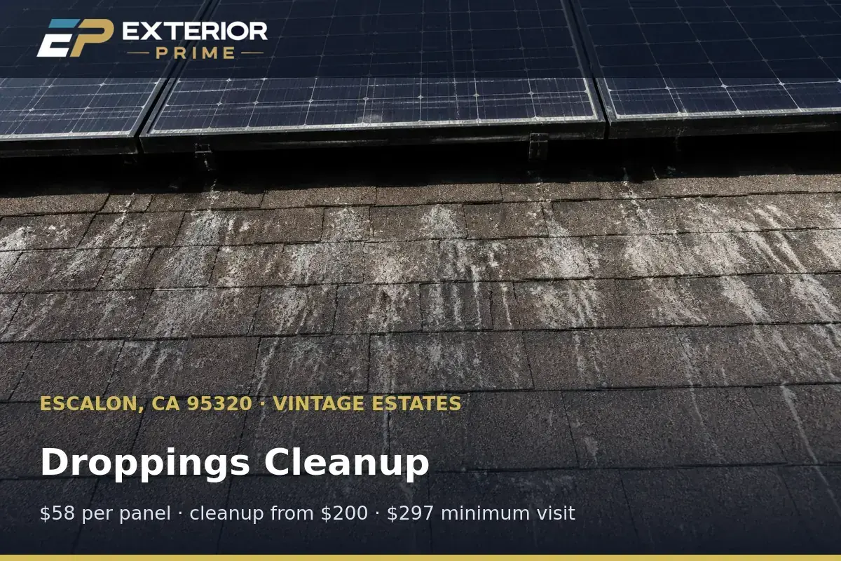 Exterior Prime professional in protective gear removing pigeon droppings from beneath a solar array in Vintage Estates, Escalon, CA