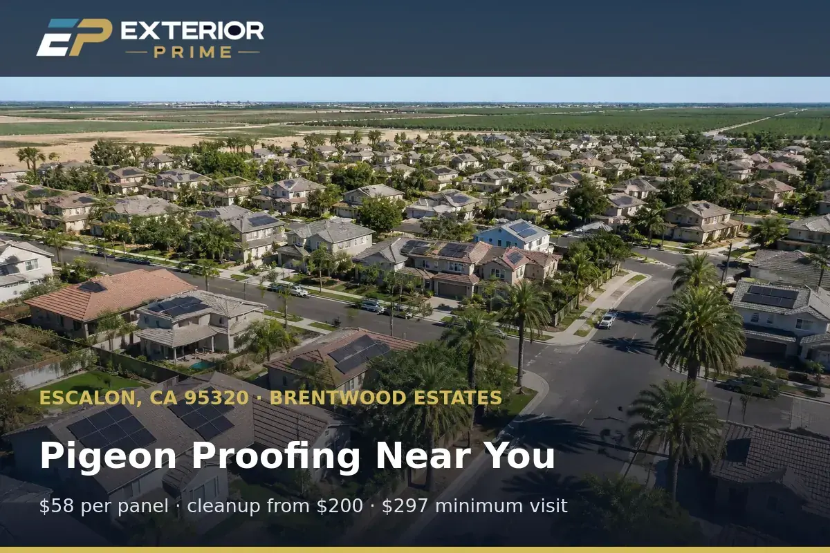 Aerial view of Escalon, CA rooftops and orchard edge showing the Brentwood Estates neighborhood Exterior Prime services