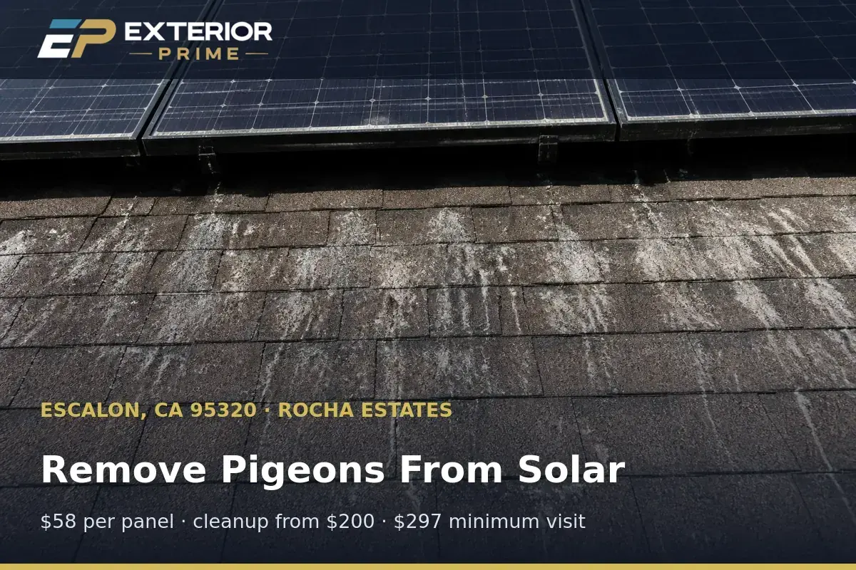 Guano-streaked solar modules being rinsed after pigeon removal on a Rocha Estates rooftop in Escalon, CA