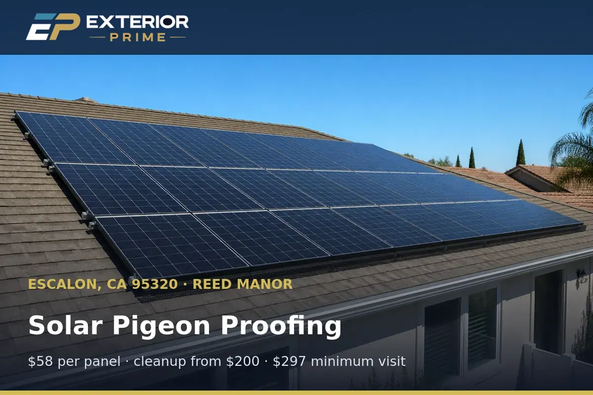 Solar array with completed pigeon proofing and clean glass on a Reed Manor rooftop in Escalon, CA