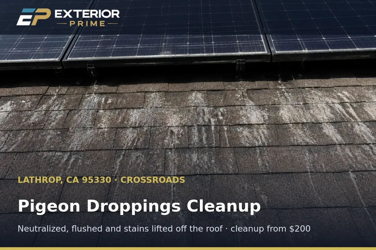 White pigeon dropping stains streaking down shingles beneath a rooftop solar array on a Lathrop, CA house