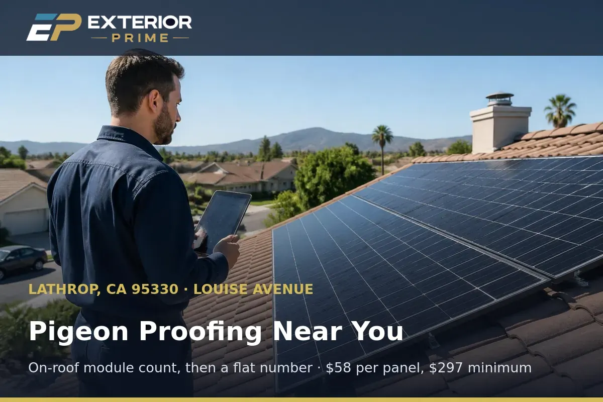 Exterior Prime professional counting solar modules on a Lathrop, CA roof to quote pigeon proofing on a tablet