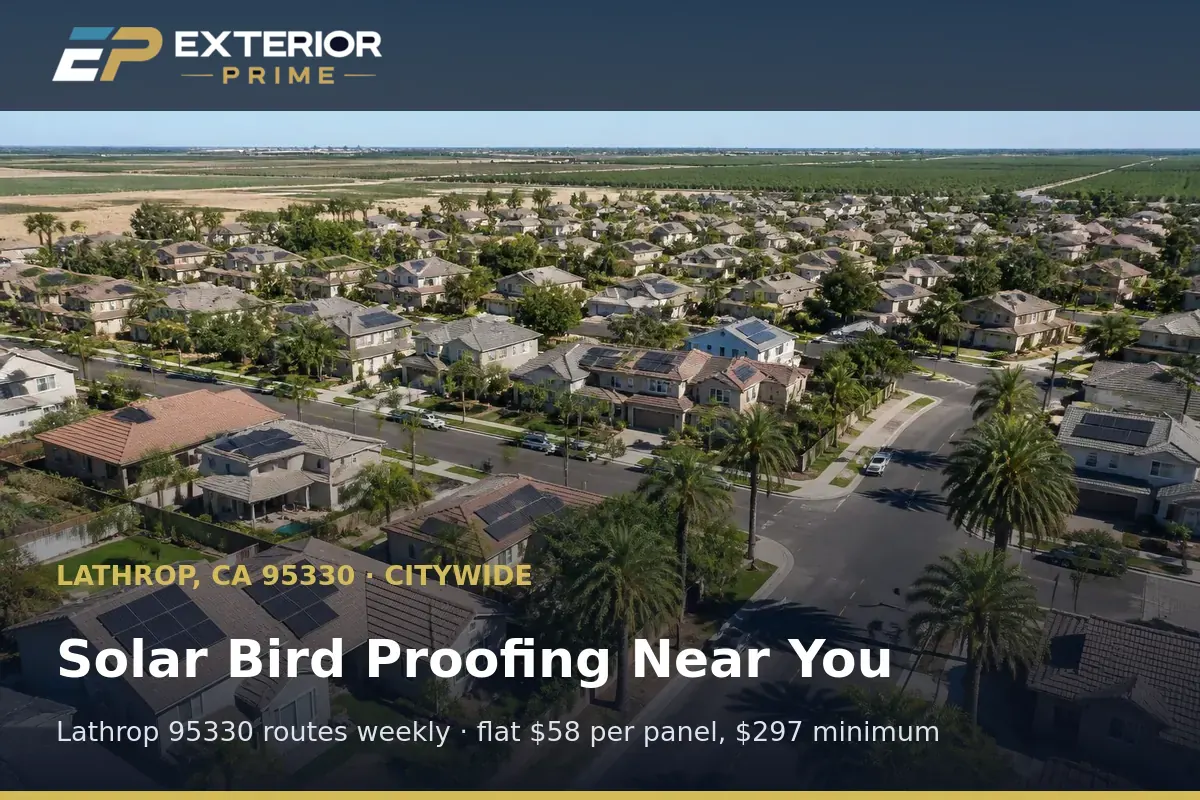 Aerial view of a Lathrop, CA neighborhood of homes with rooftop solar arrays served by Exterior Prime bird proofing