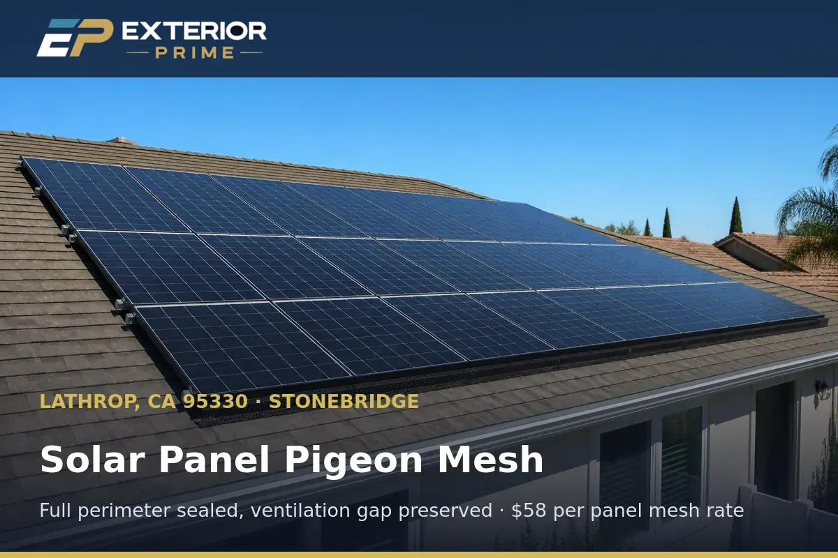 Pigeon mesh fitted around the complete perimeter of a rooftop solar array on a Stonebridge house in Lathrop, CA
