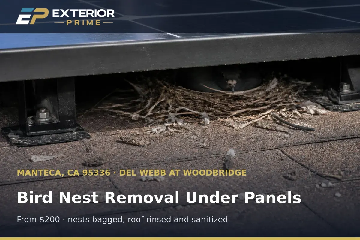 Bird nest packed with twigs and feathers under a rooftop solar panel on a Manteca, CA home before removal