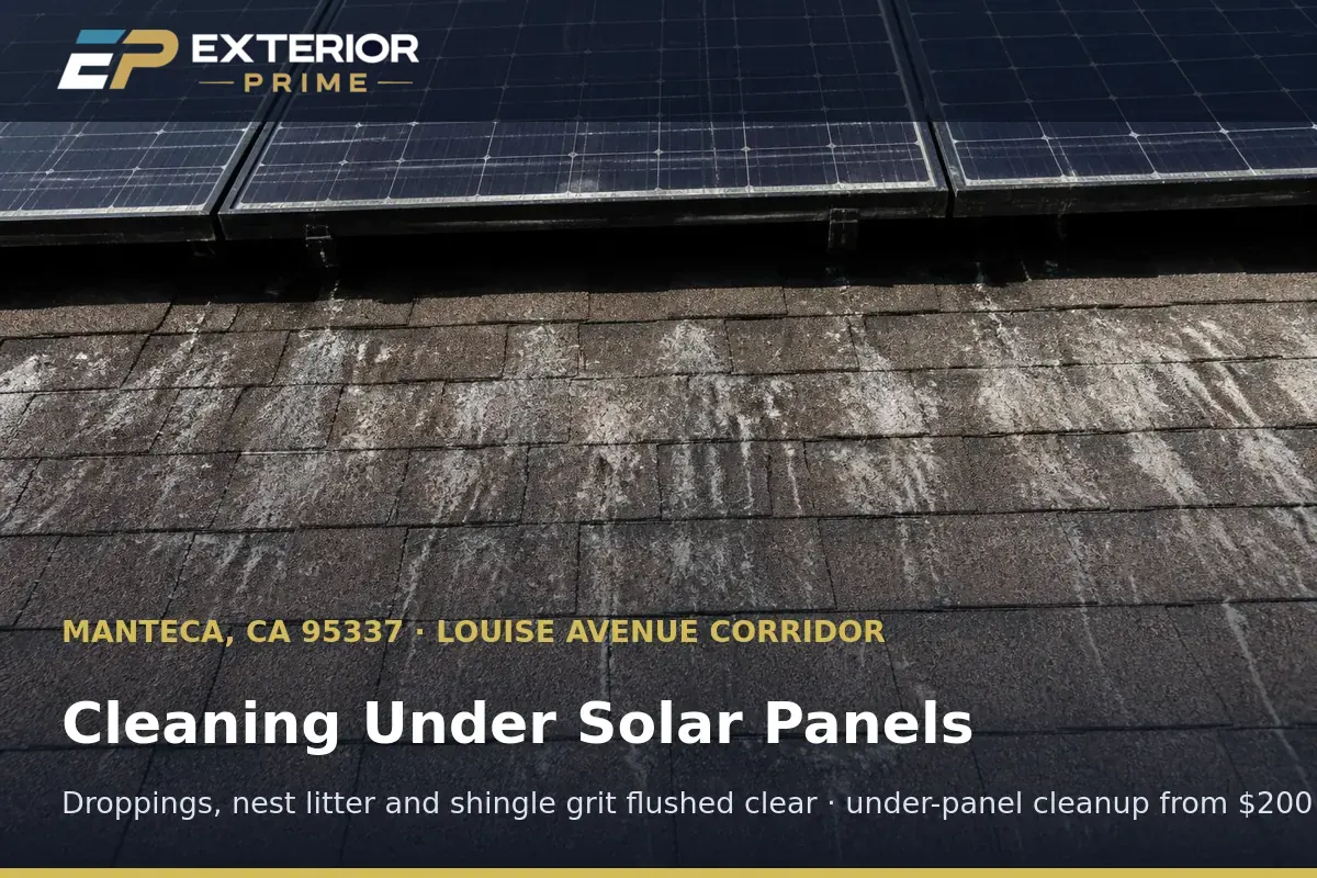 Shingle roof under a Manteca, CA solar array streaked with bird droppings and nesting grit before cleaning