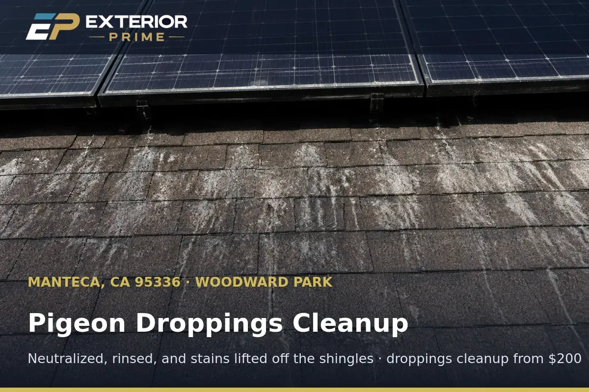 White pigeon dropping stains streaking the shingles beneath a rooftop solar array on a Manteca, CA home