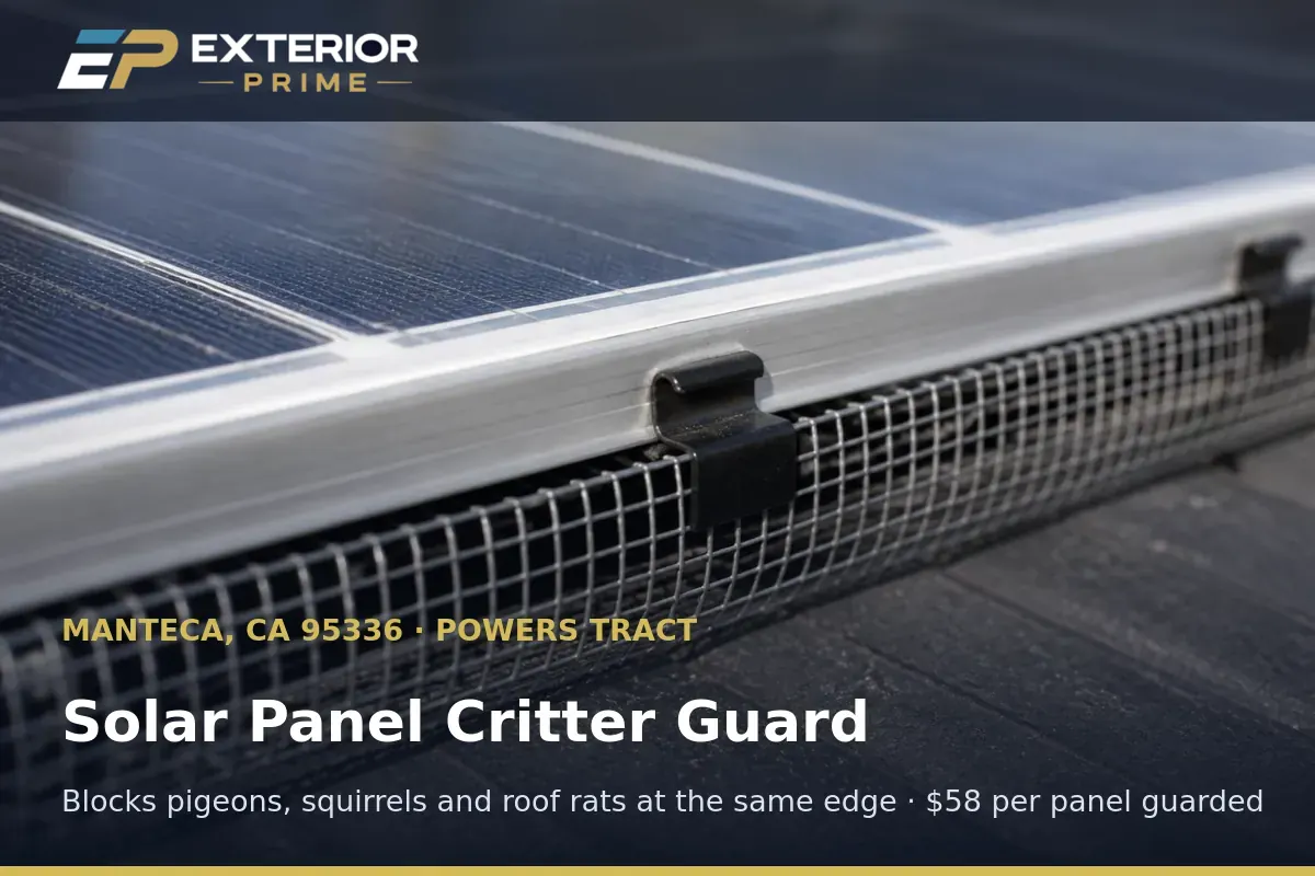 Critter guard mesh and black clips installed on a solar panel frame on a Manteca, CA residential roof
