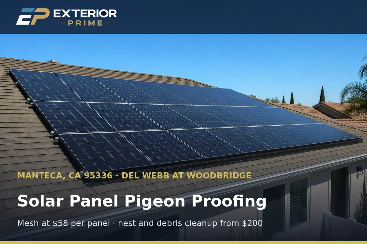 Rooftop solar array on a Manteca, CA stucco home with pigeon proofing mesh fitted flush along every panel edge