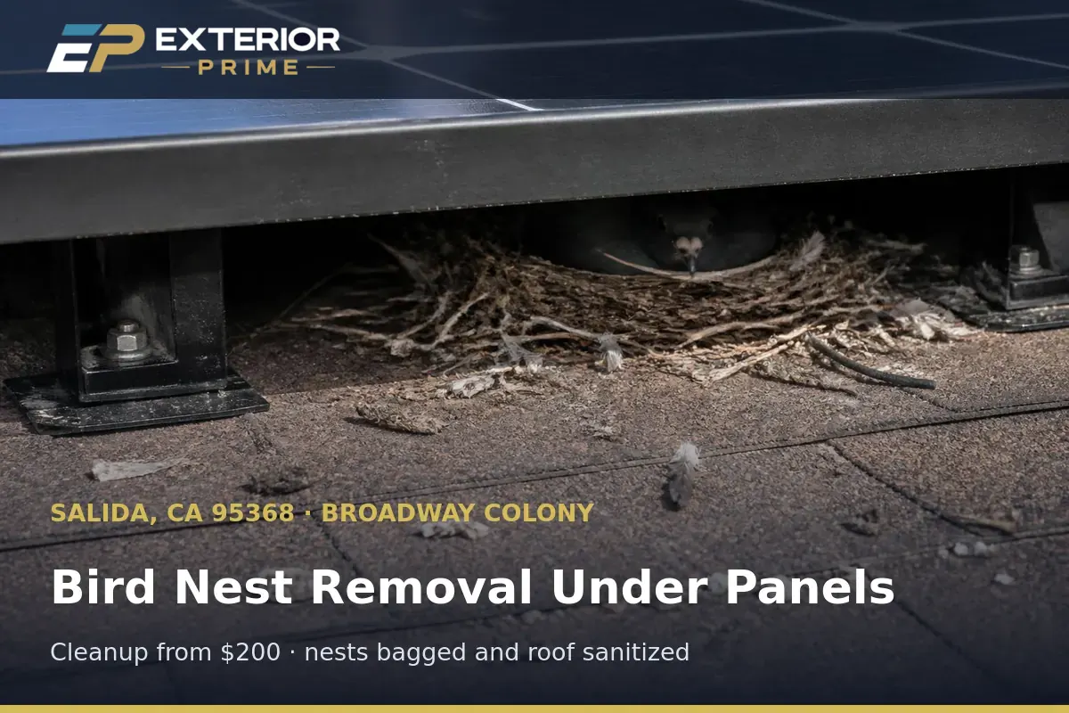 Bird nest of twigs and dried grass wedged beneath a solar panel on a Broadway Colony home in Salida, CA