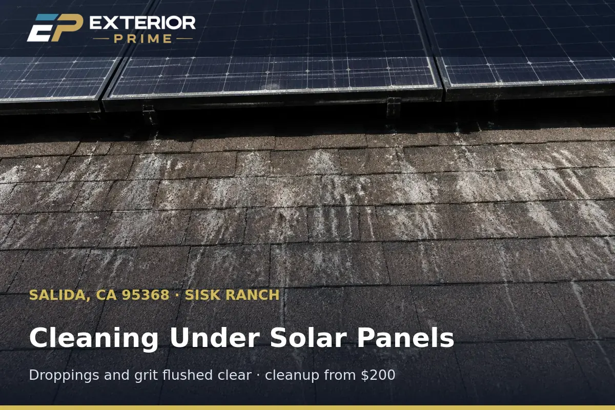Shingle roof under a solar array on a Sisk Ranch home in Salida, CA streaked with bird droppings before cleaning