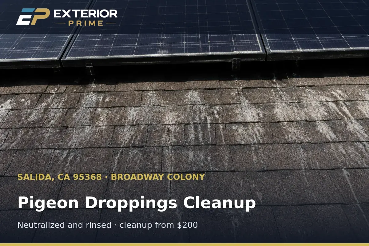 White pigeon dropping stains streaking the shingles beneath a rooftop solar array on a Broadway Colony home in Salida, CA
