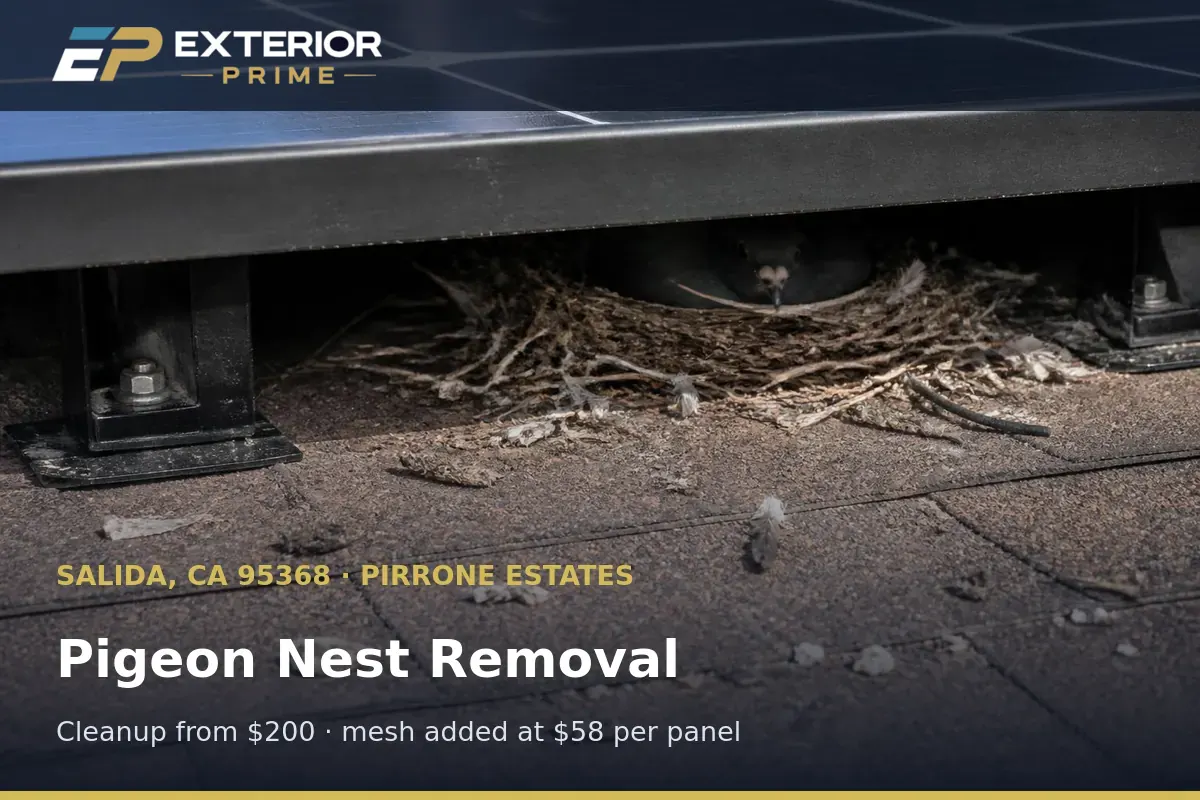 Pigeon nest and droppings under a rooftop solar module on a Pirrone Estates home in Salida, CA scheduled for removal
