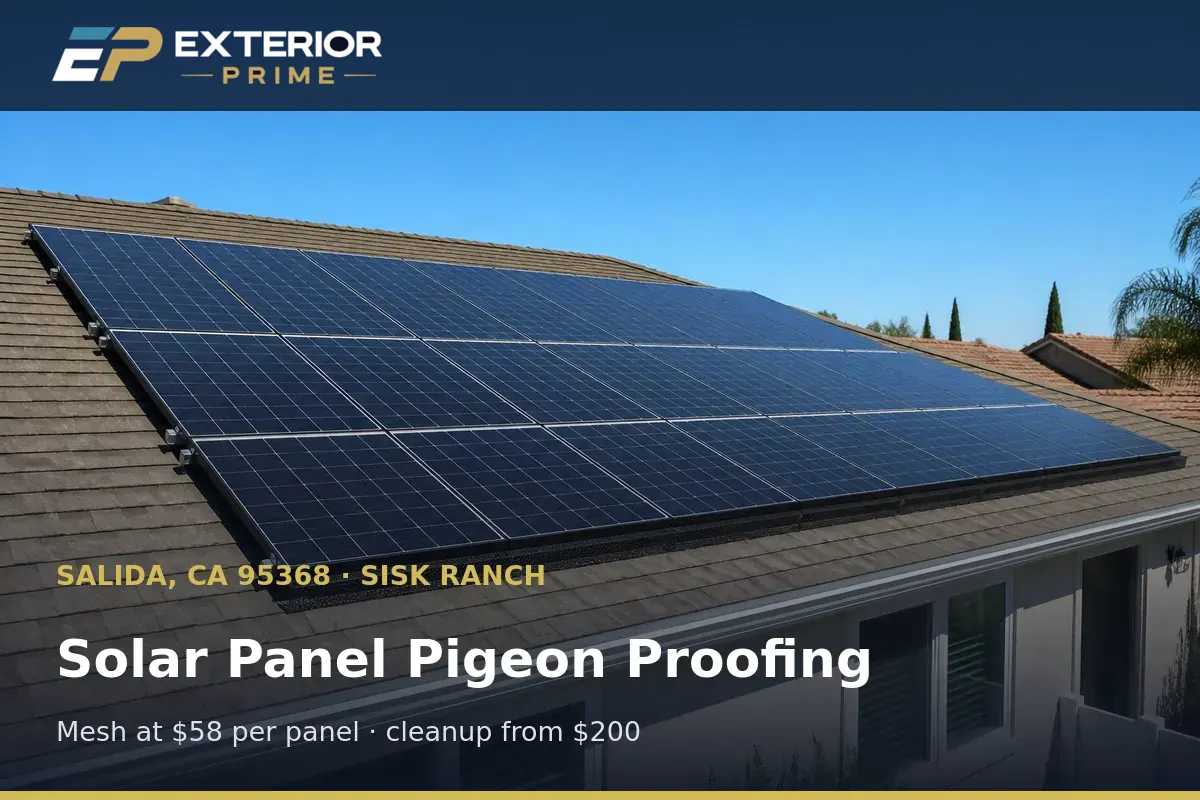 Rooftop solar array on a Sisk Ranch home in Salida, CA fitted with pigeon proofing mesh flush along every edge