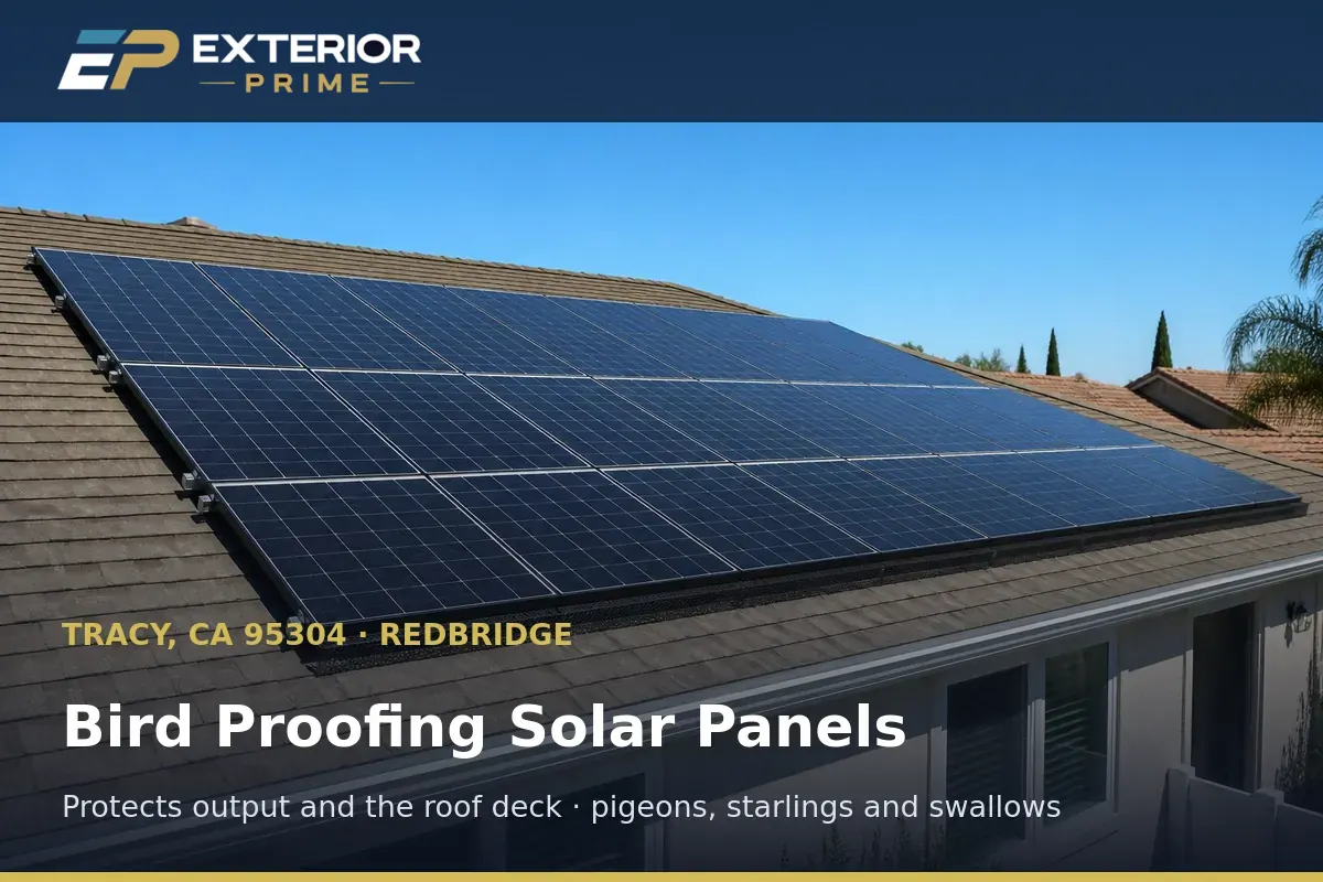 Sealed rooftop solar array on a Redbridge home in Tracy, California with clean shingles and no bird streaking below the modules