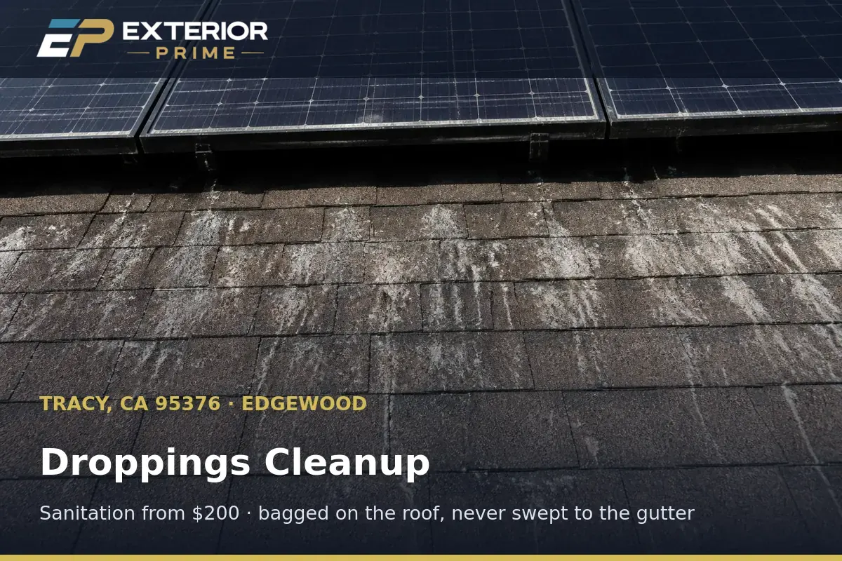 Exterior Prime professional sanitizing a roof deck coated in dried pigeon droppings beneath a solar array in Edgewood, Tracy CA