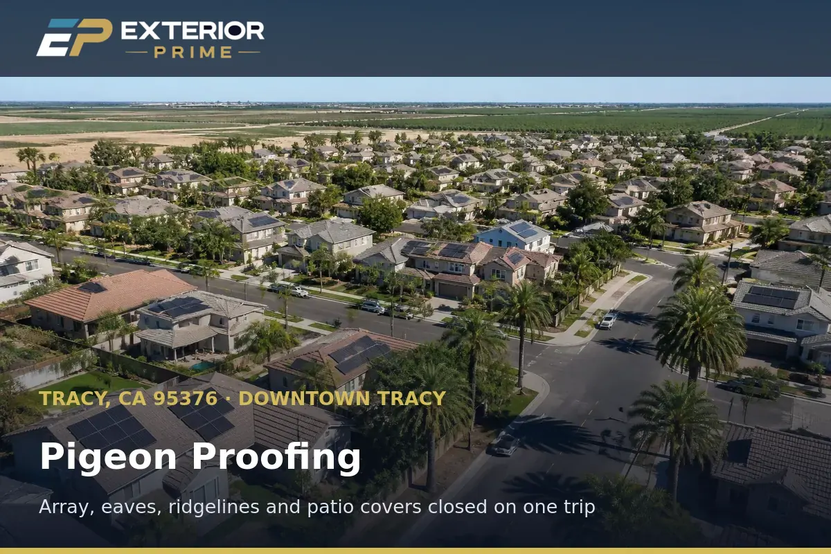 Aerial view of Downtown Tracy rooftops in California showing solar arrays, eaves and patio covers that pigeons use for roosting