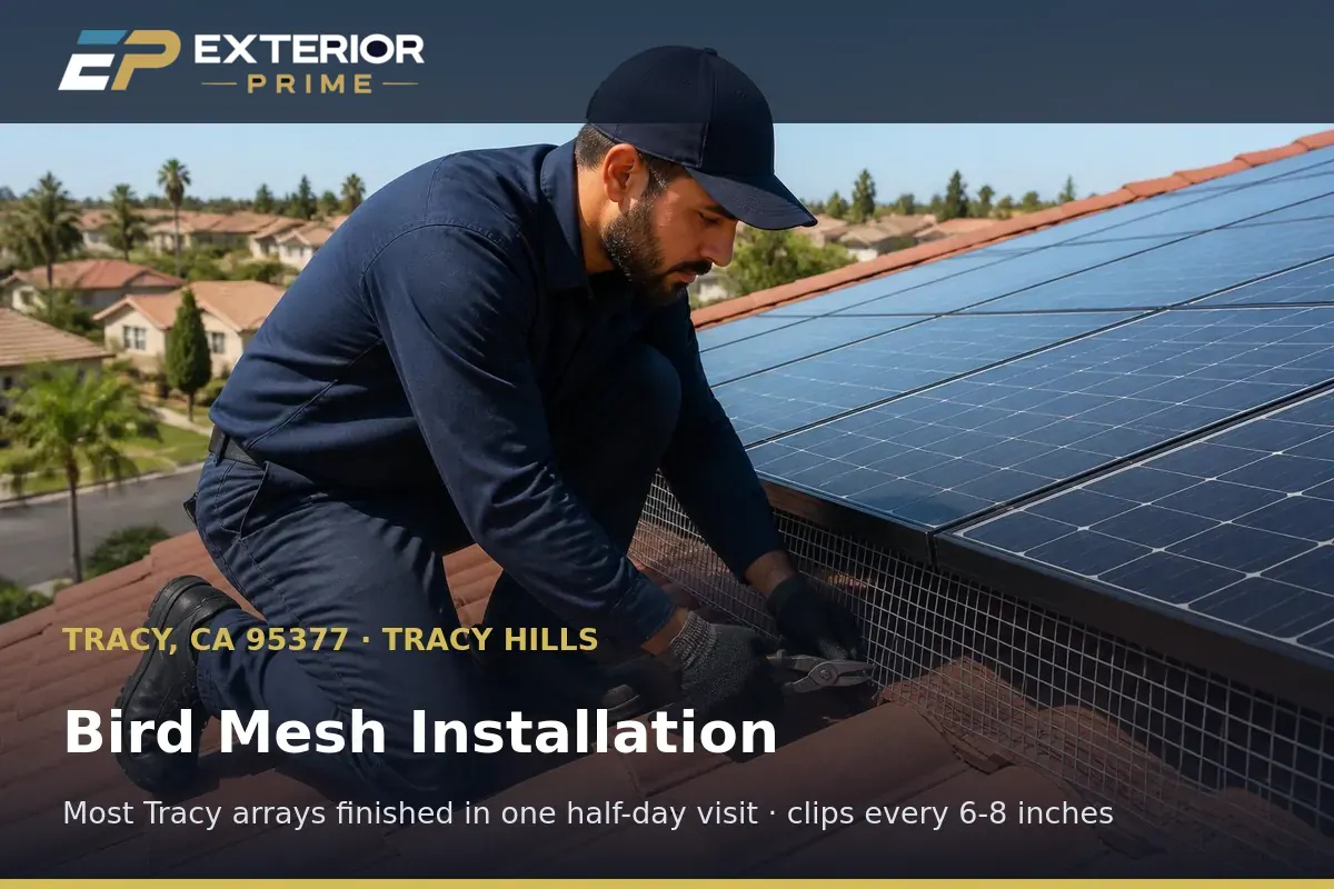 Two Exterior Prime professionals fitting and tensioning bird mesh along a long solar array run on a Tracy Hills rooftop in Tracy, CA