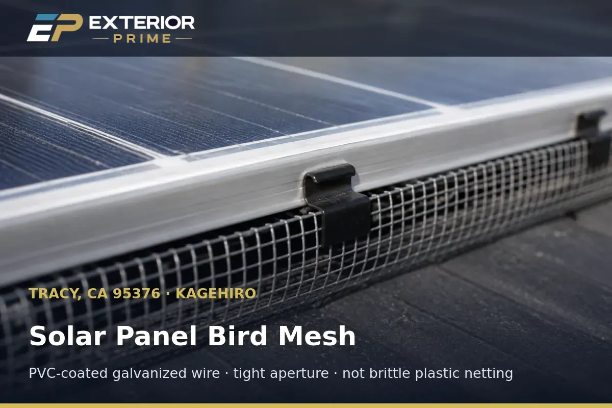 Close detail of PVC-coated galvanized bird mesh aperture fitted against an aluminum solar module frame on a Tracy, CA rooftop