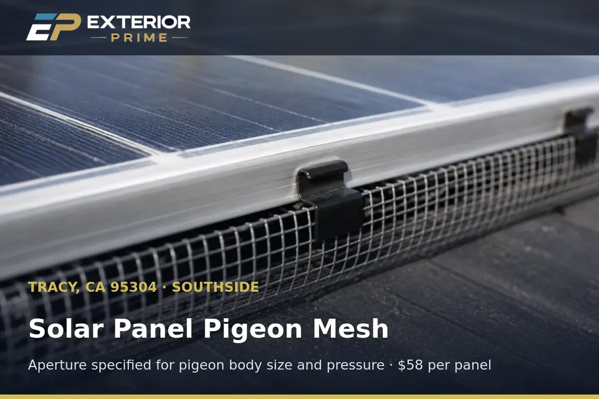 Pigeon-rated steel mesh with a narrow aperture clamped to the underside edge of a solar module on a Southside Tracy, California roof