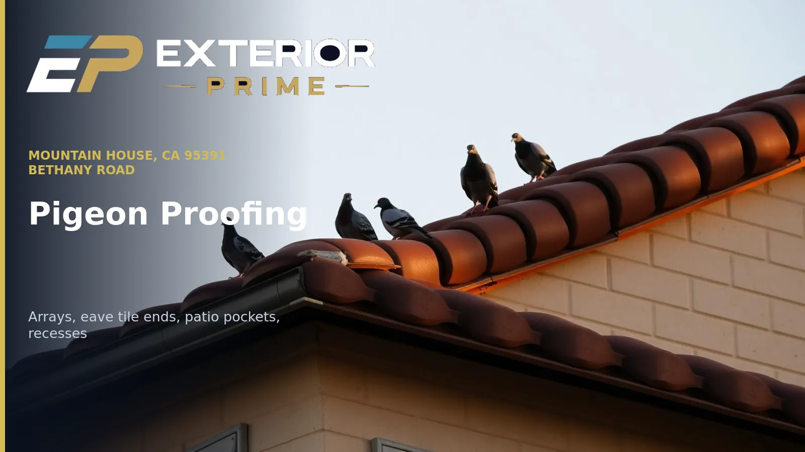 Pigeons roosting along the tile ridge and eave of a two-story stucco home off Bethany Road in Mountain House, California at golden hour